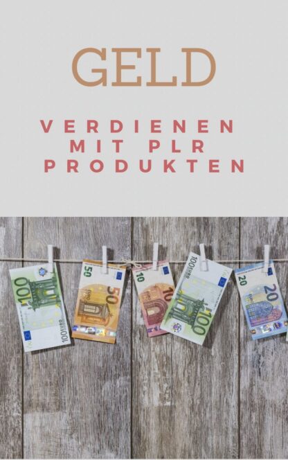Mit PLR Produkten Geld verdienen